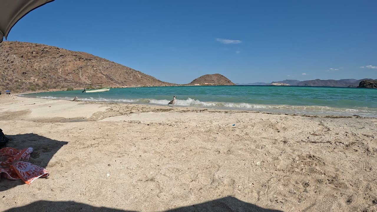 Baja California, Mexico beach view with pale sand in front, turquoise surf rolling in, rocky hills behind, and small figures visible near the waterline.