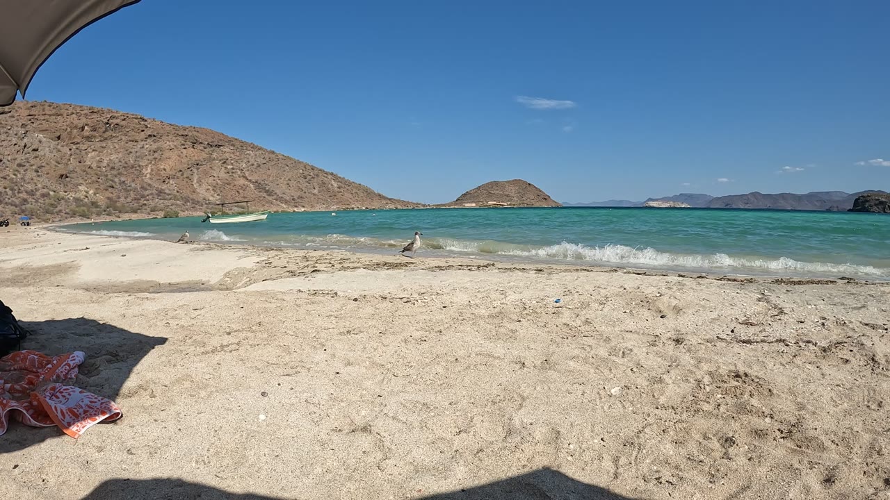 Wide view of a Baja California, Mexico beach with pale sand, turquoise water, small waves, distant people in the shallows, and dry hills under a clear sky.