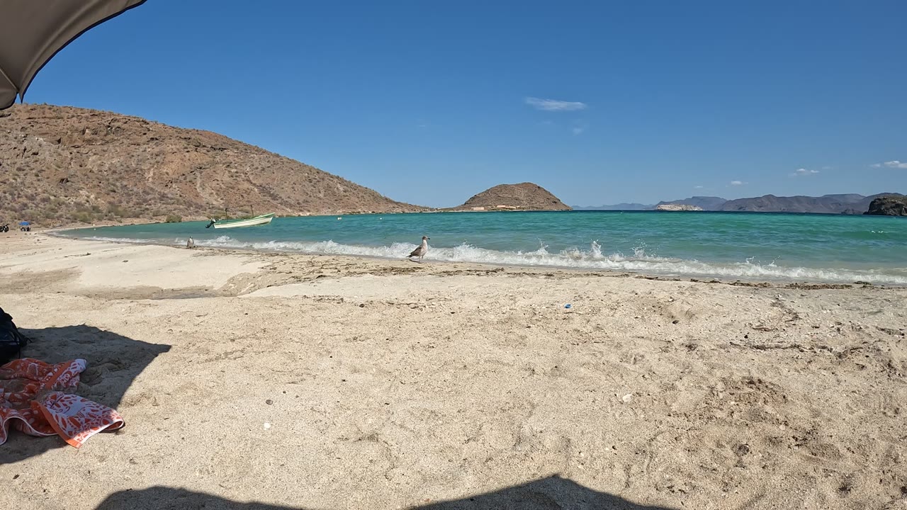 Turquoise surf reaches the sand with people wading near the shore