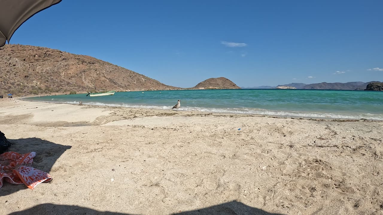 A wide Baja California, Mexico beach frame with turquoise water flattening after a wave, distant waders near the shoreline, dry hills to the left, and open blue sky.