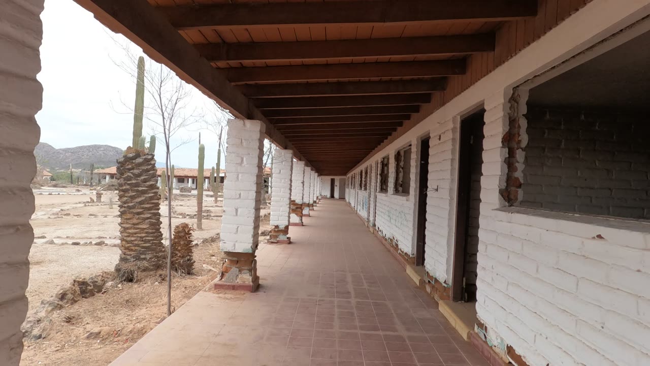 Mid-clip Baja California frame with the white brick wall and wooden-beam ceiling on the right, tall cactus and dry terrain outside, and no visible people.