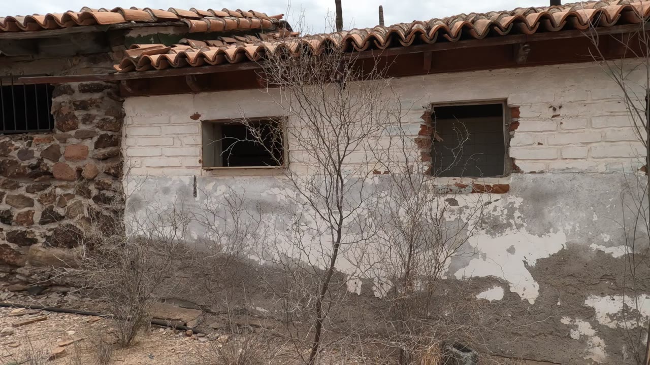 Weathered white plaster wall in Baja California, Mexico with dark rectangular window openings, exposed brick edges, red roof tiles, bare shrubs, and no visible people.