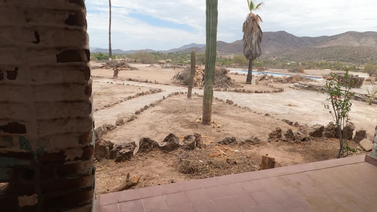 The garden view in Baja California opens past the patio edge, showing sandy beds, rock lines, tall cacti, a palm, distant hills, and no visible people.