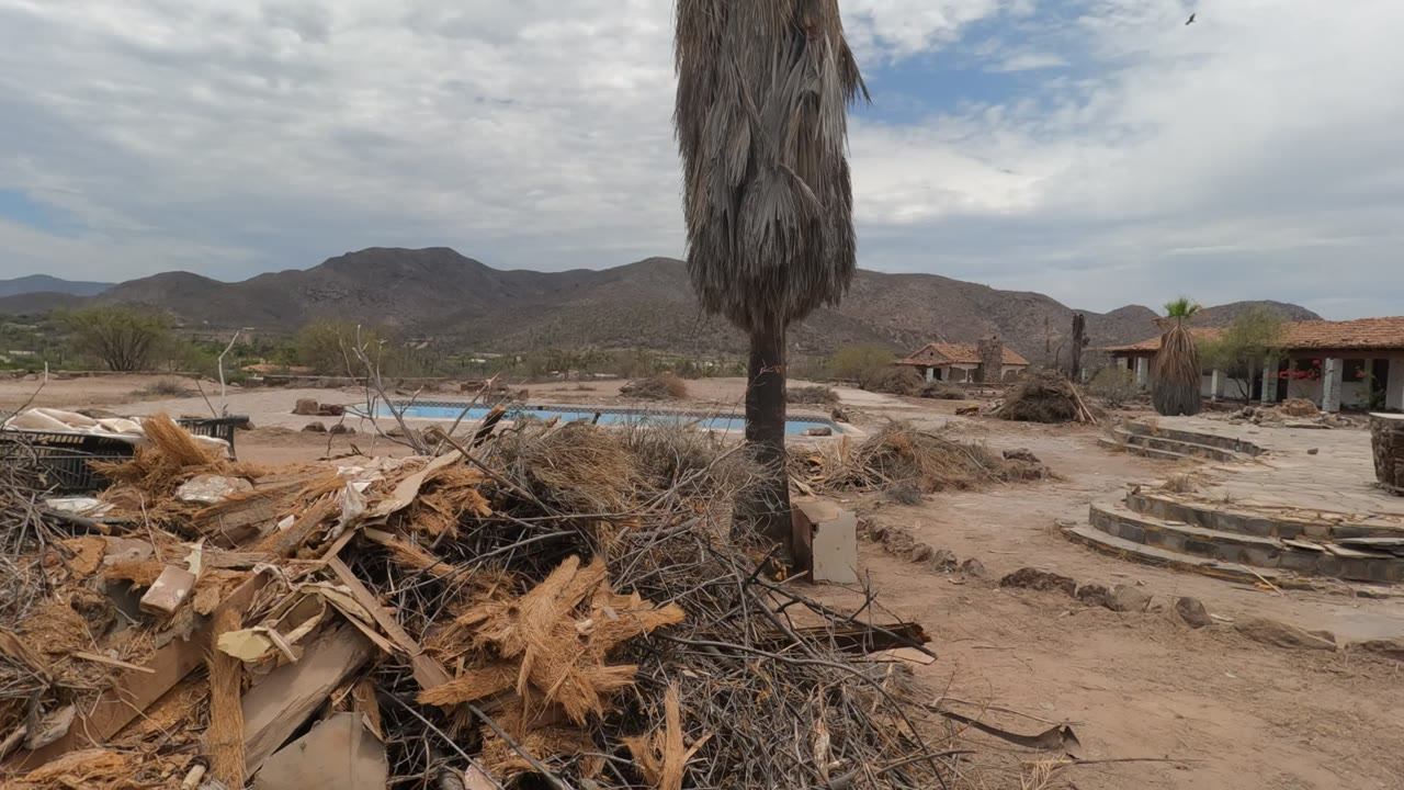 A Baja California, Mexico yard shows broken palm fronds and branches in the foreground, a palm trunk near center, a pool and low buildings behind it, mountains in the distance, and no visible people.