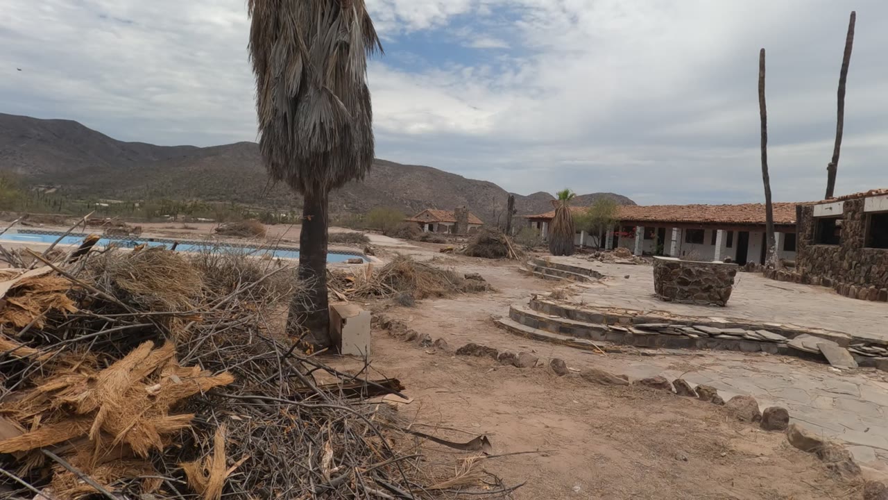 Palm trunk, dry debris, stone path, empty pool area, buildings, and mountains.