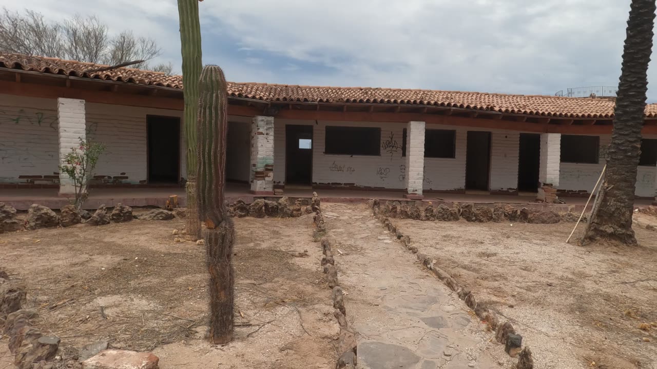 Baja California, Mexico courtyard with a white adobe building, red tile roof, tall cactus near the foreground, palm trunk, stone-lined sandy paths, and no visible people.