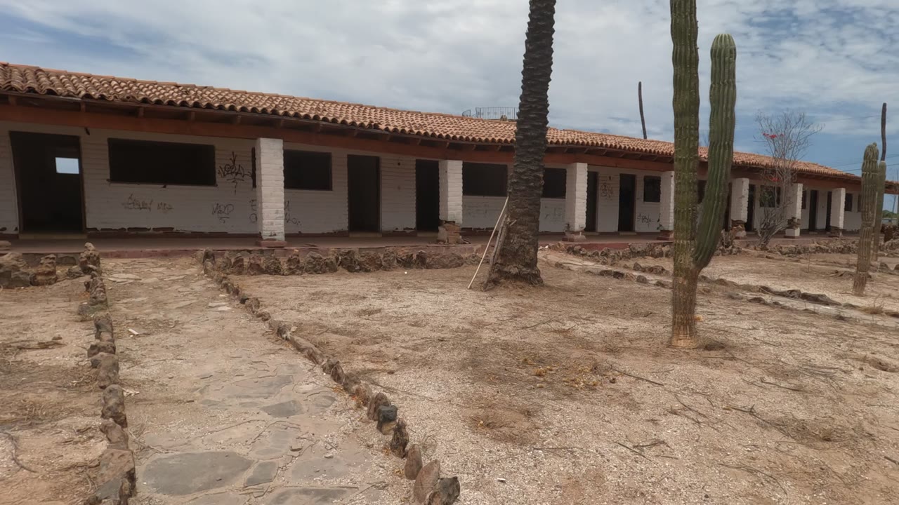 Courtyard view with adobe walls, red tile roof, cactus, palm trunk, and sandy paths.