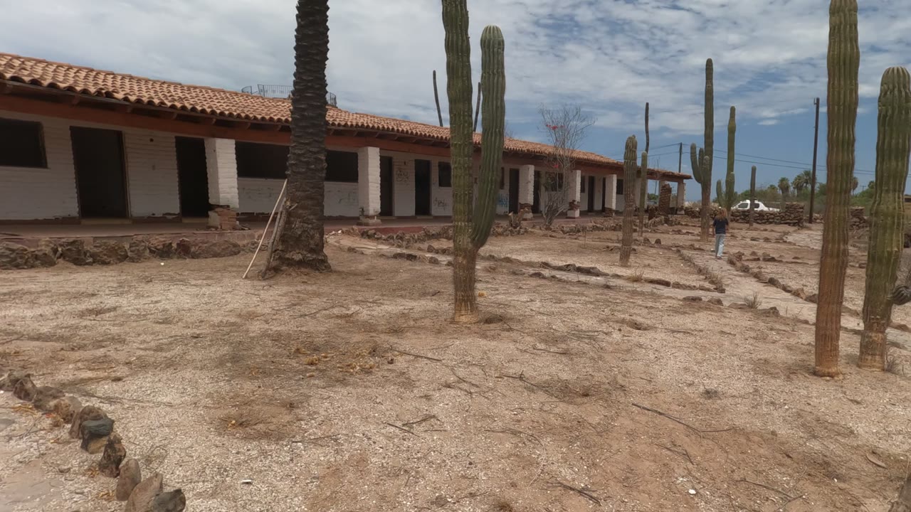 Baja California, Mexico courtyard with cacti lined through sandy ground, the adobe building receding left, a white car in the far background, and no visible people.