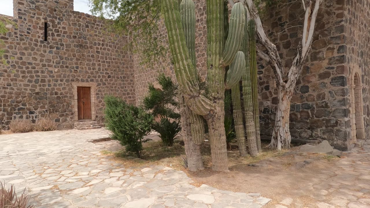 Baja California, Mexico stone-walled courtyard with tall cacti, shrubs, pale paving, a small wooden door, and no visible people.