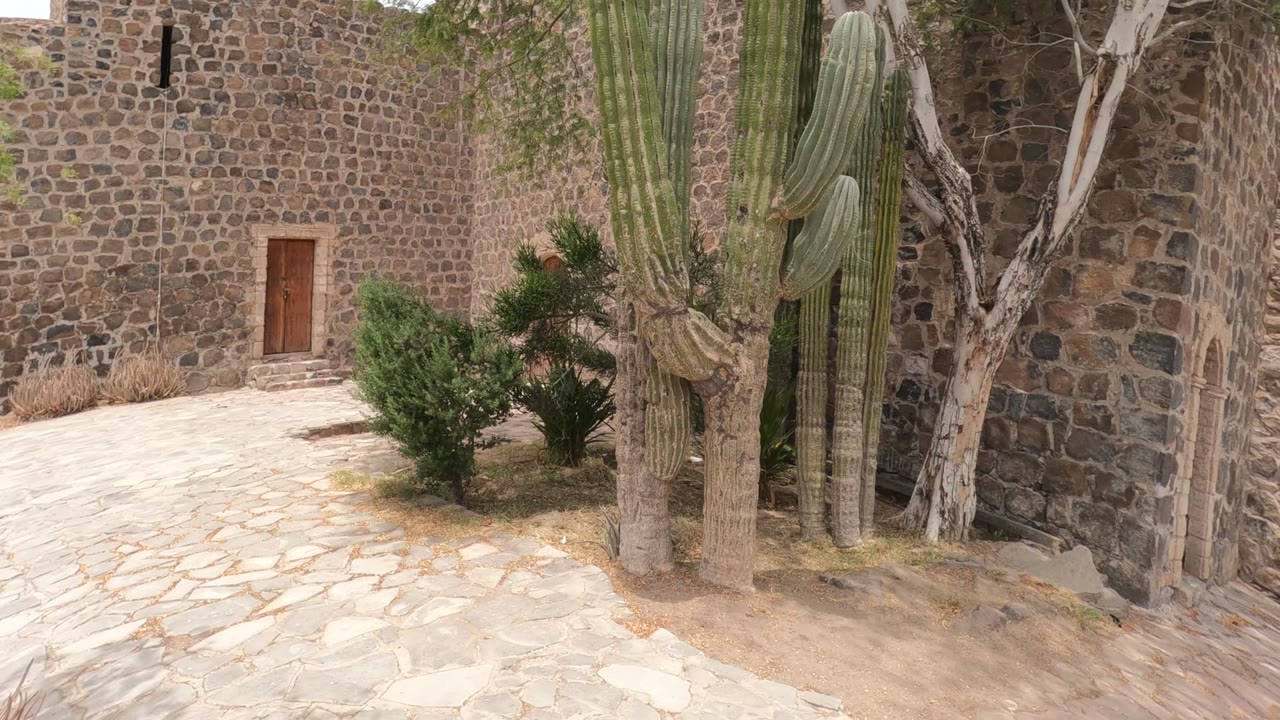 Courtyard view with stone walls, cacti, shrubs, and paved ground