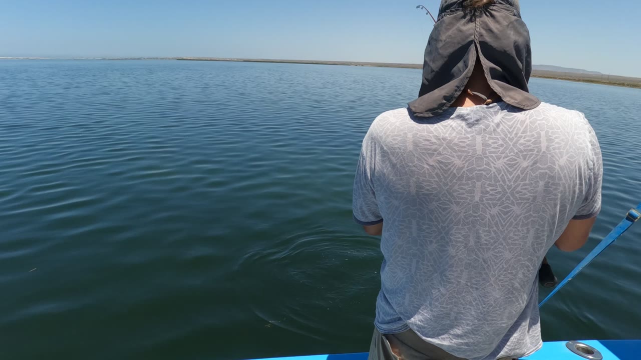 In Baja California, Mexico, a person seen from behind stands on a blue boat with a fishing rod angled over calm dark water and a low shoreline on the horizon.