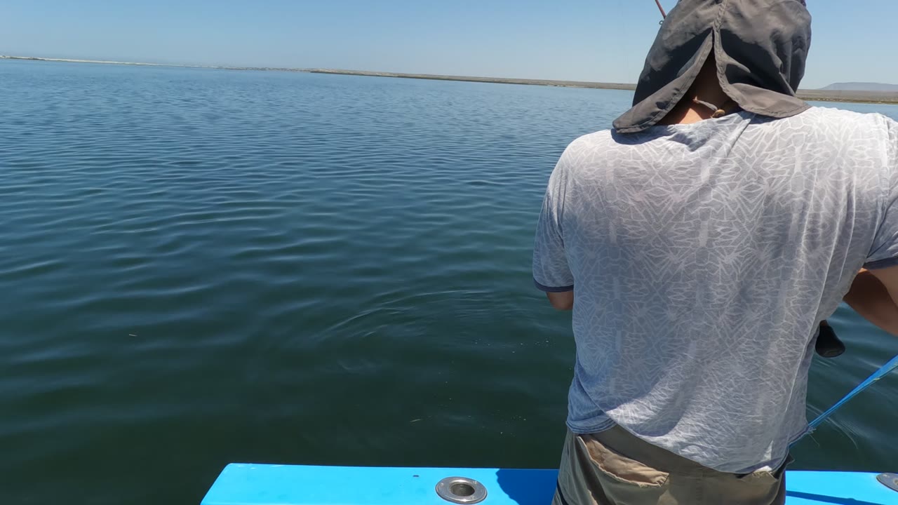 In Baja California, Mexico, the person stands near the right side of the blue boat as the fishing rod points out across smooth water under bright sun.