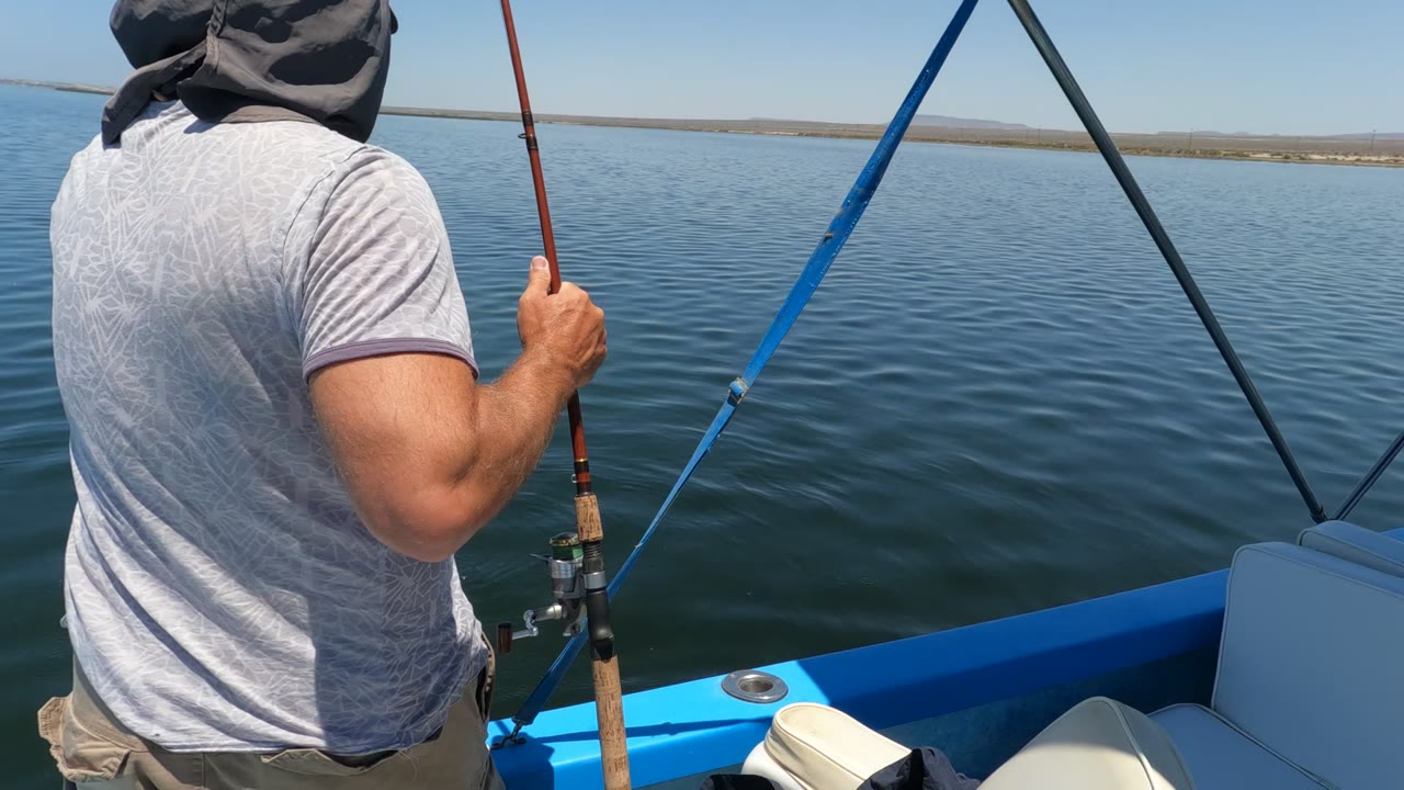 A man seen from behind holds a fishing rod on a blue boat in Baja California, Mexico, with calm water and a low distant shoreline ahead.