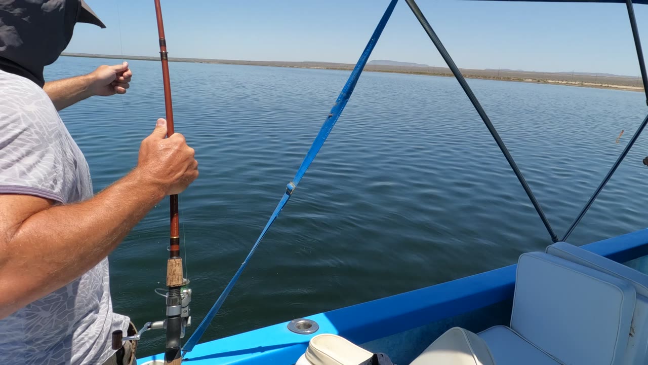 Man points across calm water while holding a fishing rod.