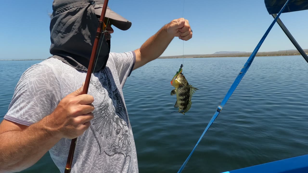 Angler holding a fishing rod while a small fish hangs over the water.