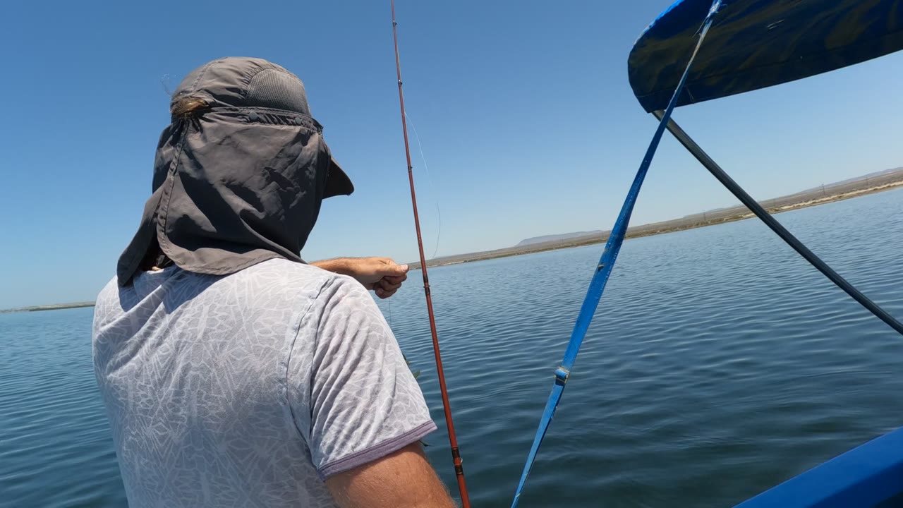 In Baja California, Mexico, the man faces away from camera with fishing rods upright as the boat sits on smooth water below a clear horizon.