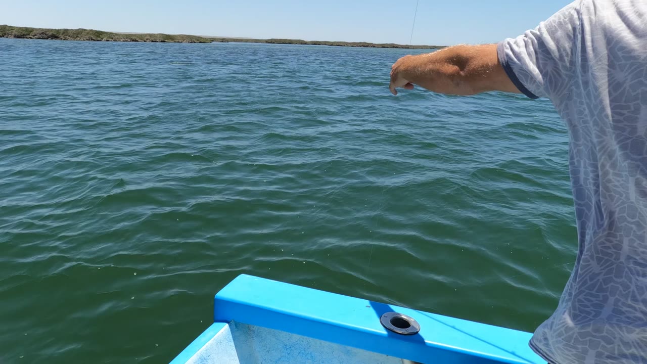 A man in a light shirt stands at the rail of a blue boat in Baja California, Mexico, pointing over green ocean water with a low shore on the horizon.