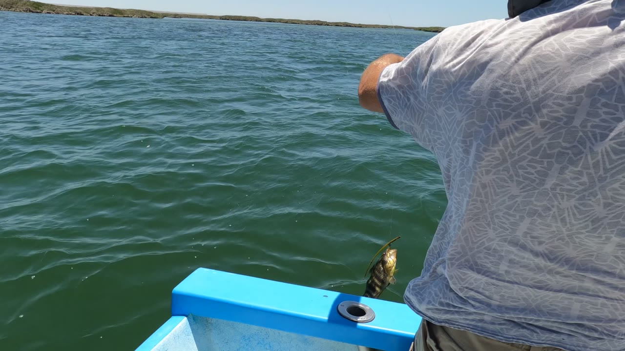 Man leans over a blue boat as a fish appears near the rail.