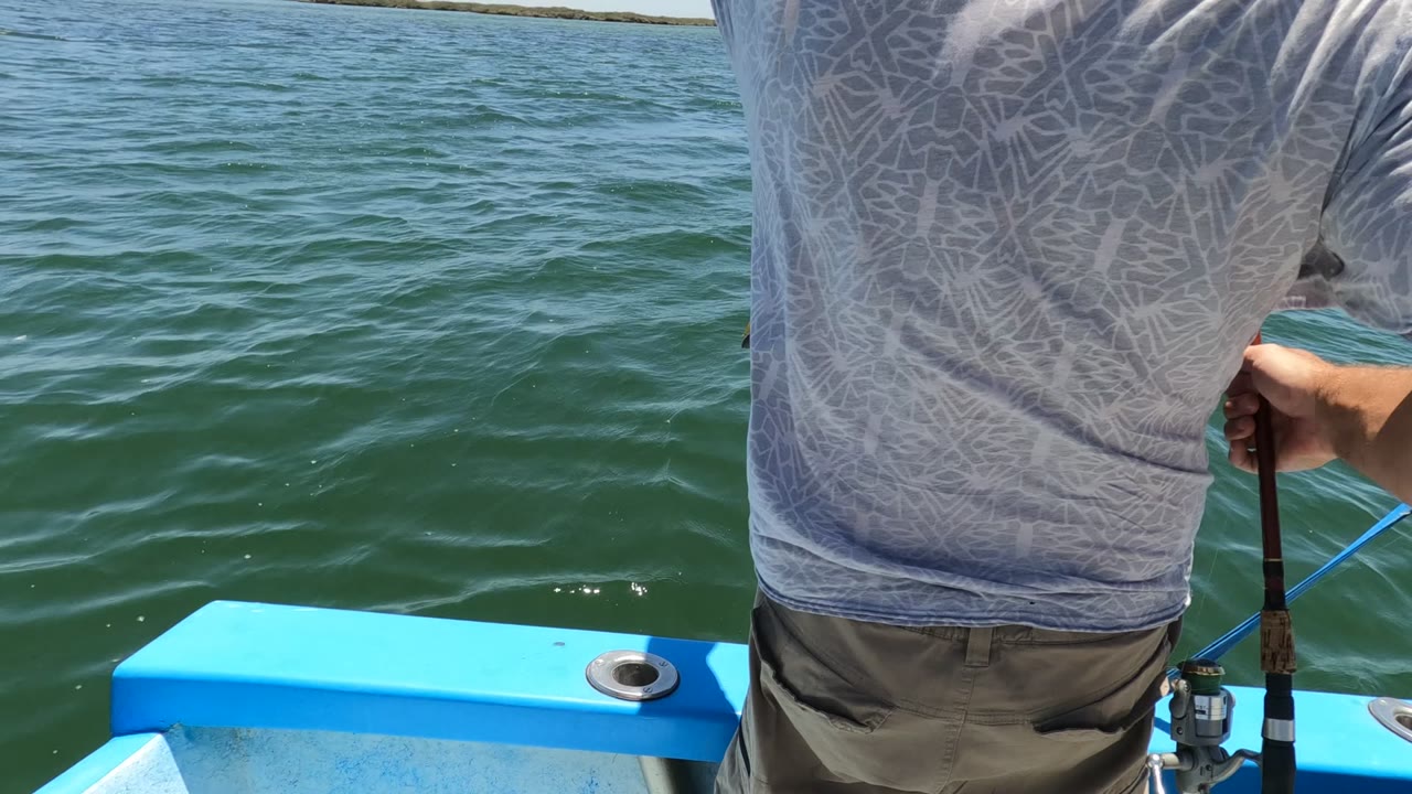 The man faces away on the blue boat in Baja California, Mexico, with a fishing rod at the right edge and open water stretching to a flat distant shoreline.