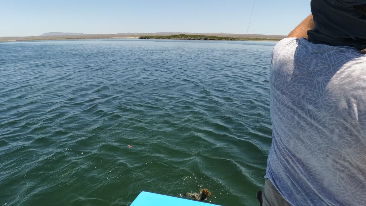 Blue boat edge and open water with the angler partly at frame right.