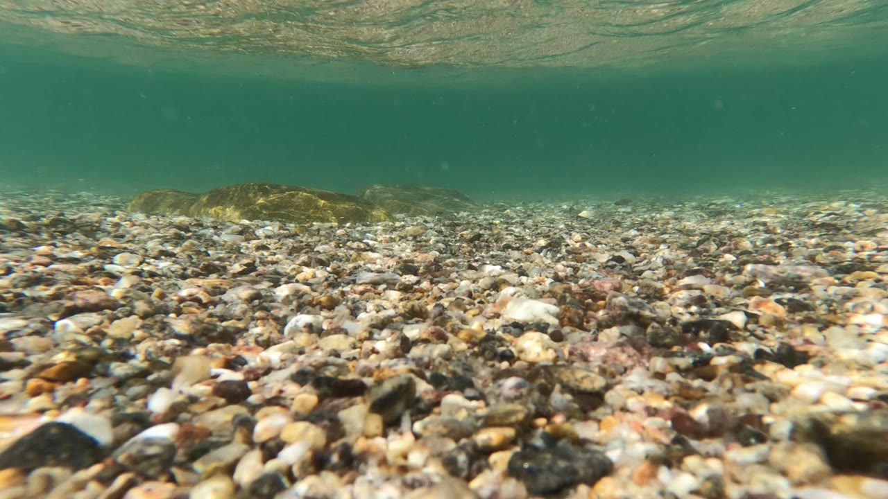 Low underwater view of a pebbled seabed in Baja California, Mexico, with rippled green-blue water above and no visible people.