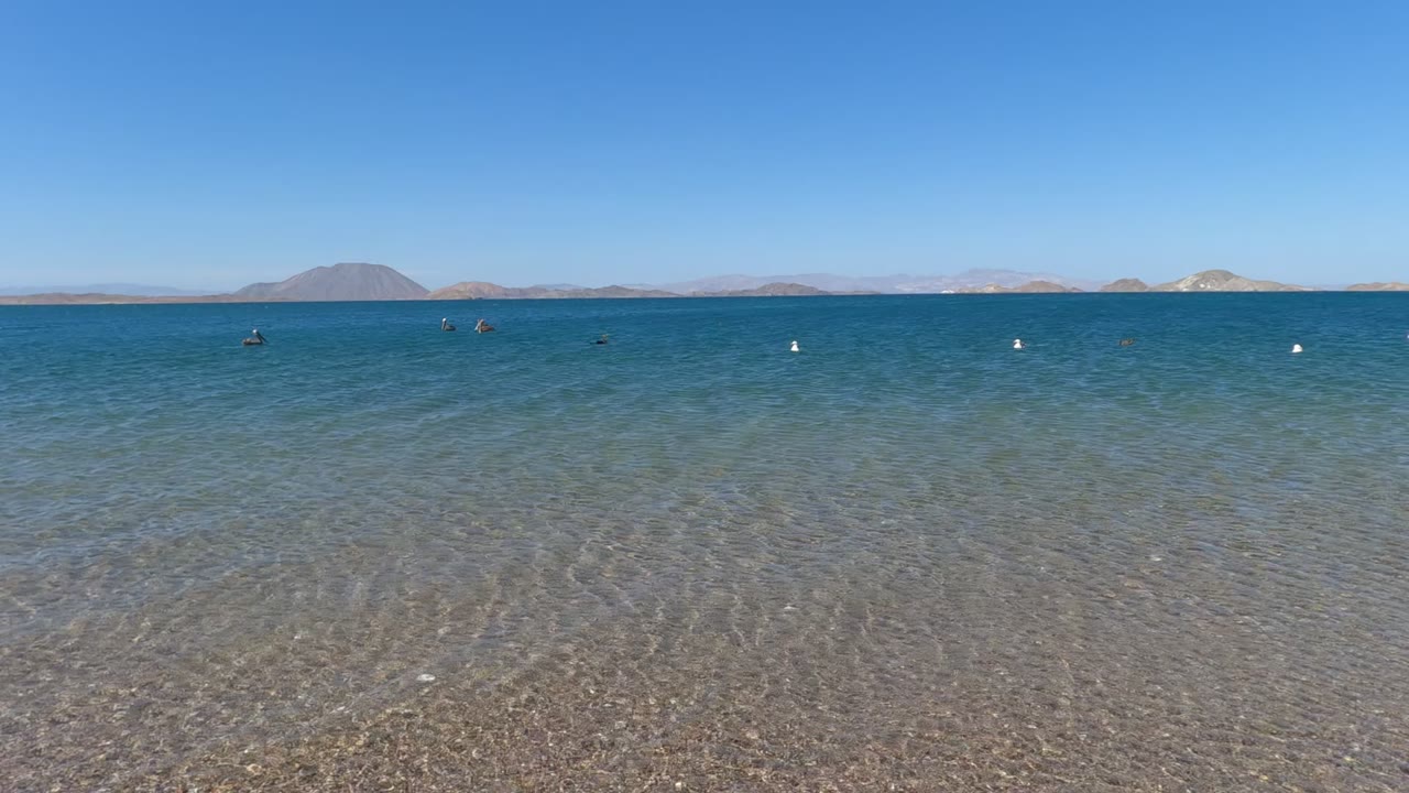 Baja California, Mexico shoreline at 0:00 with transparent pebbly shallows, small swimmers offshore, and low hills under a clear blue sky.
