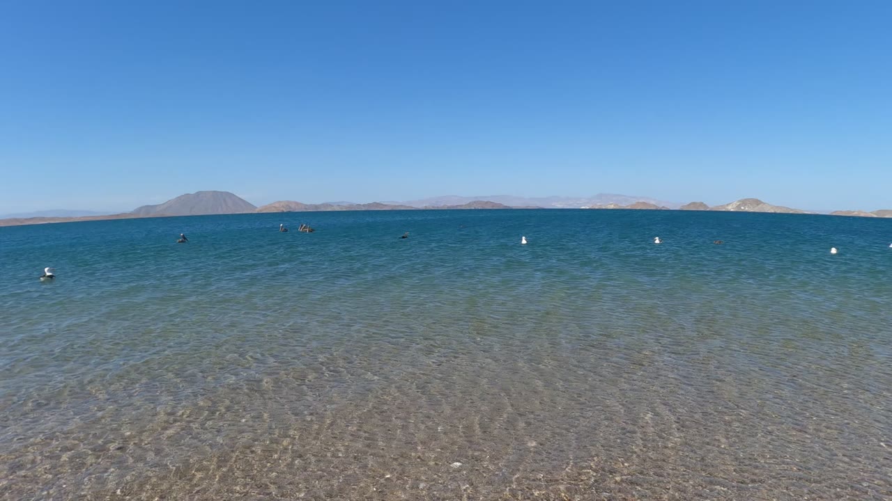 Pebbly shoreline water with swimmers spread across the distance.