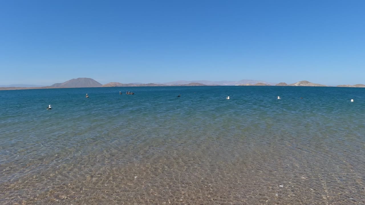 Baja California, Mexico coastal frame at 0:02 with clear water over stones, white buoys in the distance, a few tiny swimmers, and a broad blue sky.