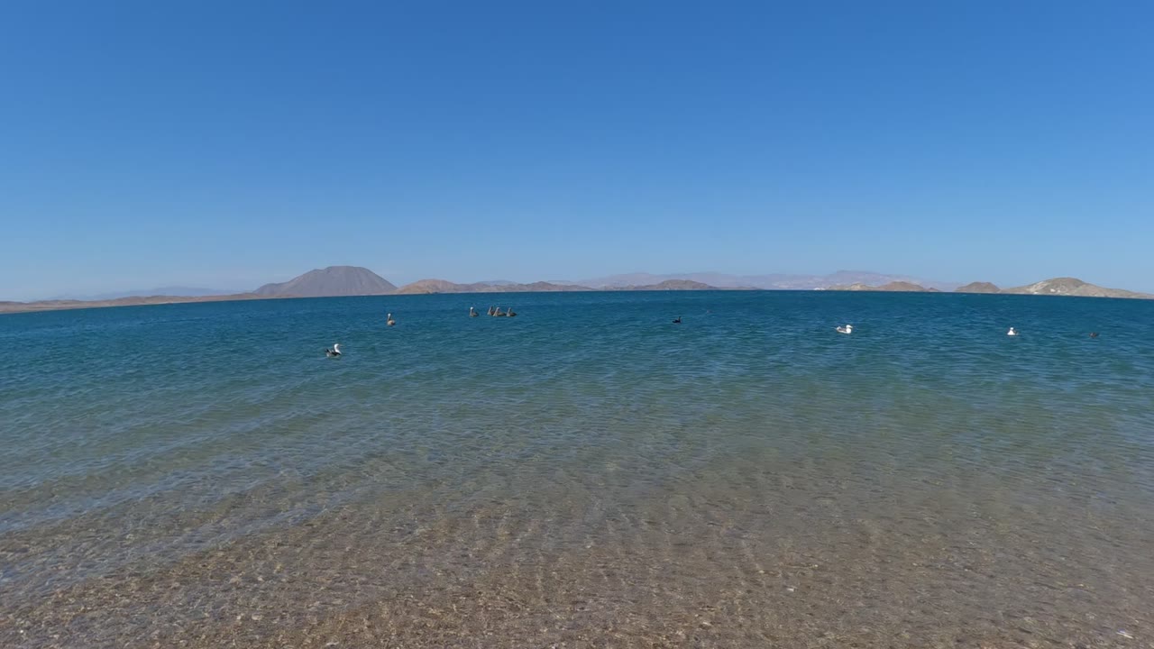 Wide shallow-water beach view with swimmers near the horizon.