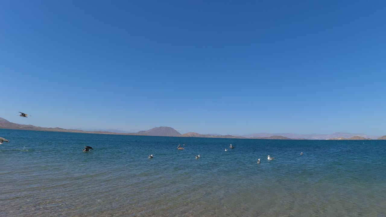 Several seagulls fly low above the lake surface.
