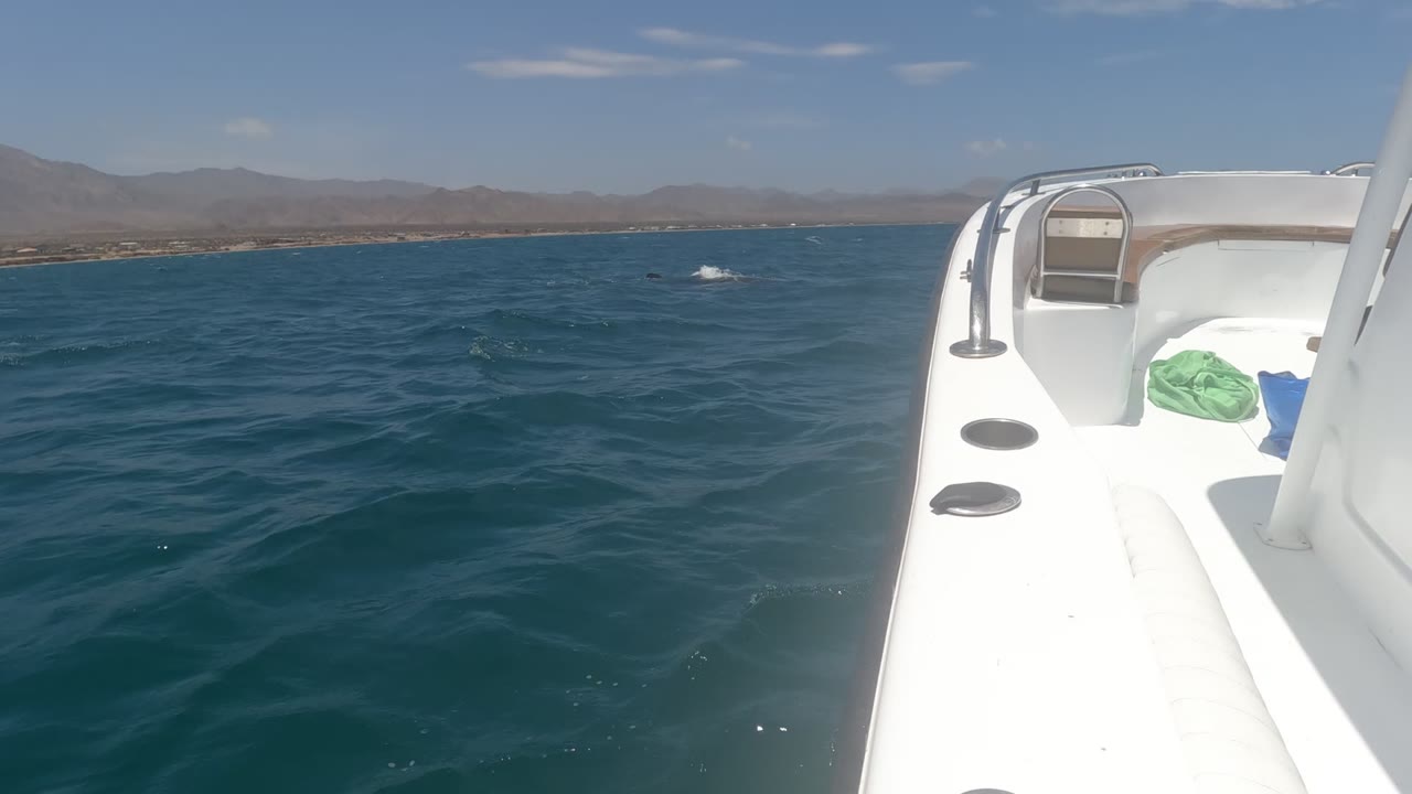 Boat bow and open ocean with small splashes near the horizon line.