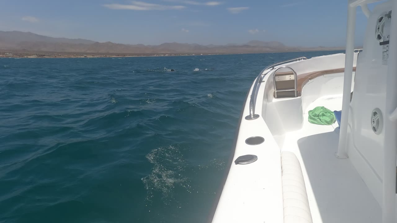 Blue water fills most of the Baja California, Mexico frame, with the white boat bow cropped at right, a low mountain horizon in back, scattered whitecaps, and no visible people.