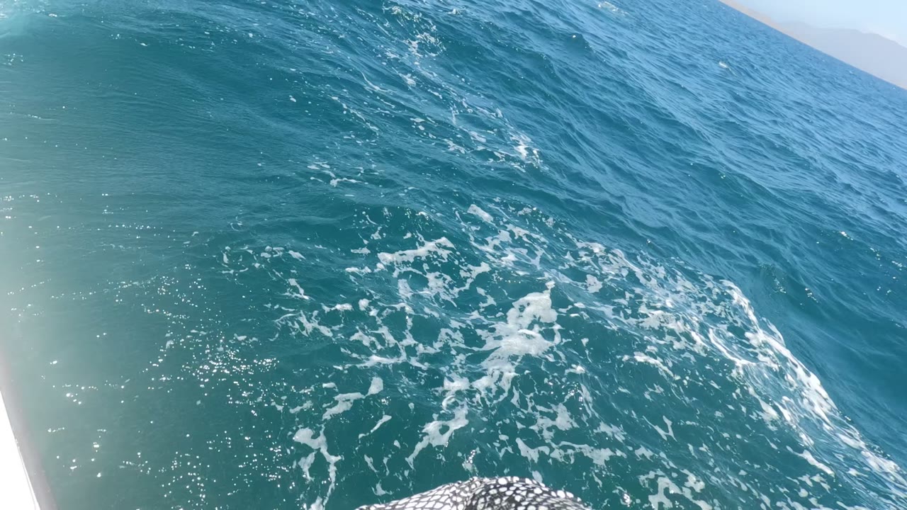 Blue-green ocean in Baja California Mexico with brighter wake foam near the lower right and the boat edge just entering the frame, no visible people.