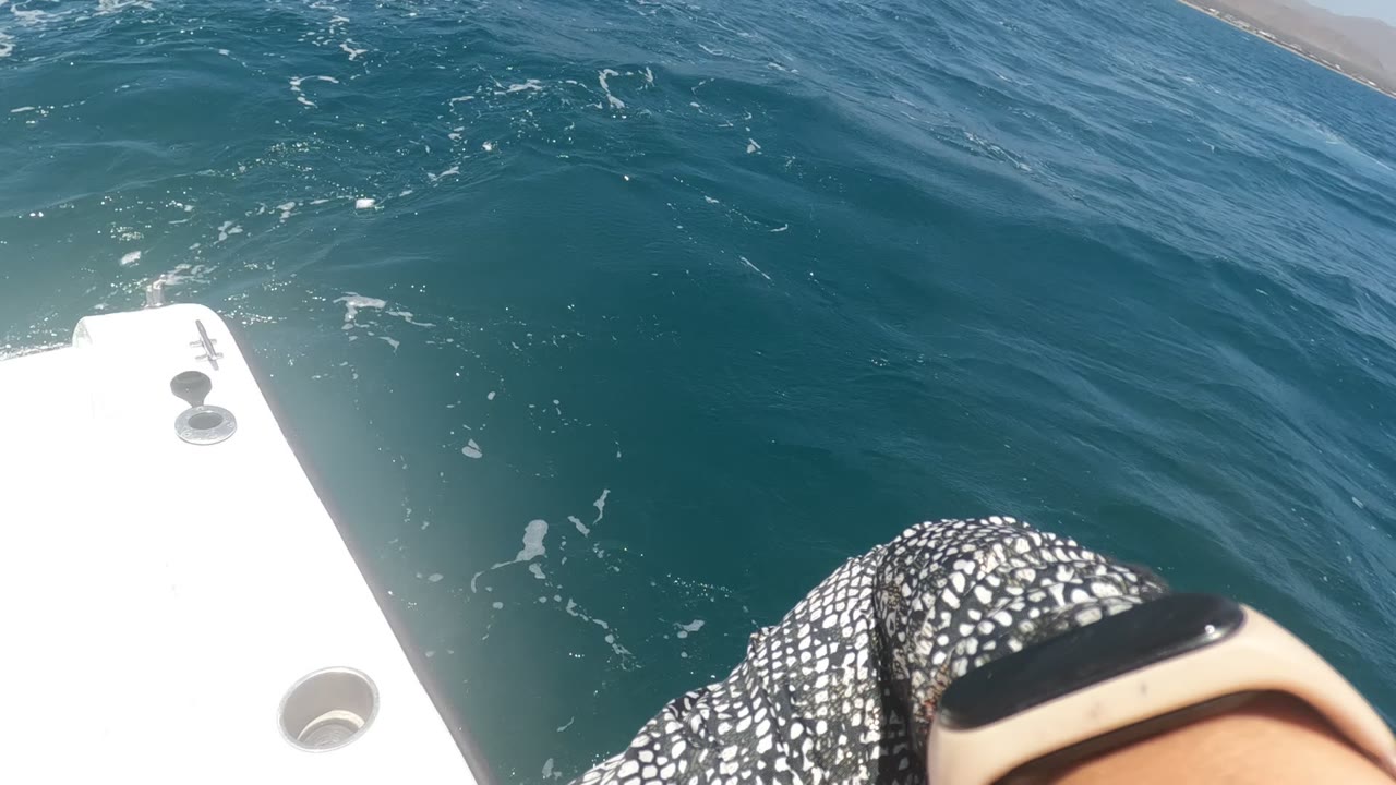 White boat edge, rippled blue water, and a partial watch-wearing arm in bright light.