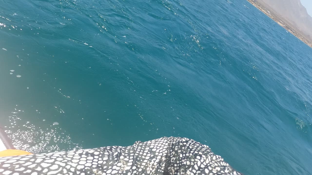 Opening frame of a Baja California boat ride with patterned shorts low in frame, blue ocean filling the view, a faint shoreline on the horizon, and no visible faces.