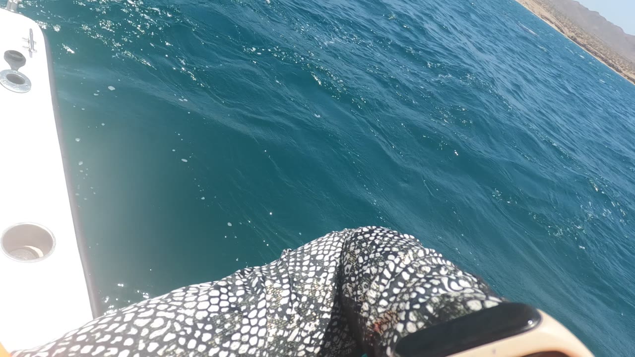 The frame includes patterned shorts, a white boat rail with circular fittings, part of a phone at lower right, and blue Baja California water with no visible faces.