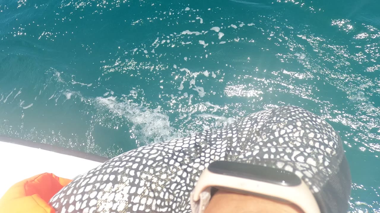 At 0:00 in Baja California, Mexico, turquoise ocean fills the background while a boat passenger's patterned sleeve, wristwatch, and boat edge appear in the foreground.