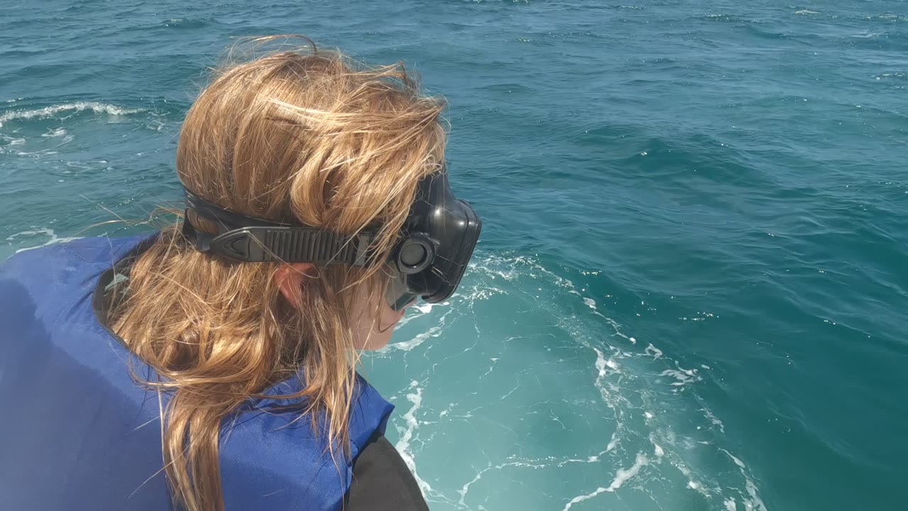 Child in snorkel mask seen from behind while looking into rippled ocean water.