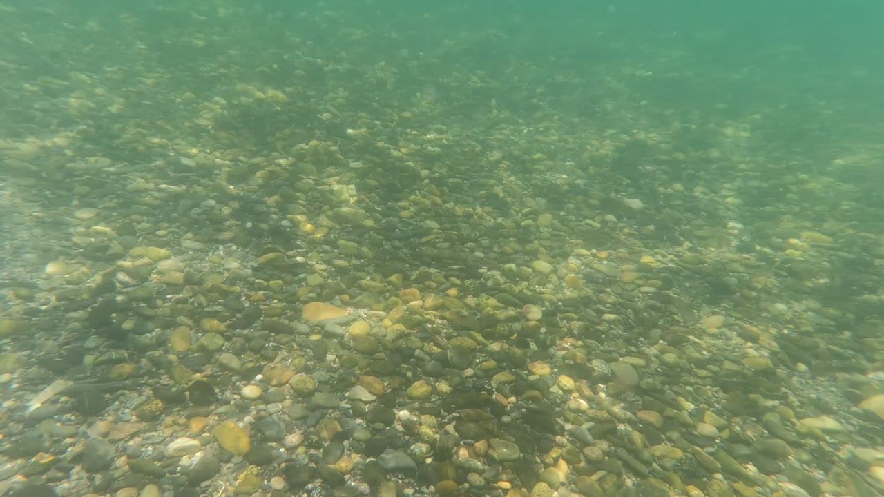 Opening underwater frame in Baja California, Mexico showing a shallow riverbed of rounded pebbles beneath green-blue water, with no visible people.
