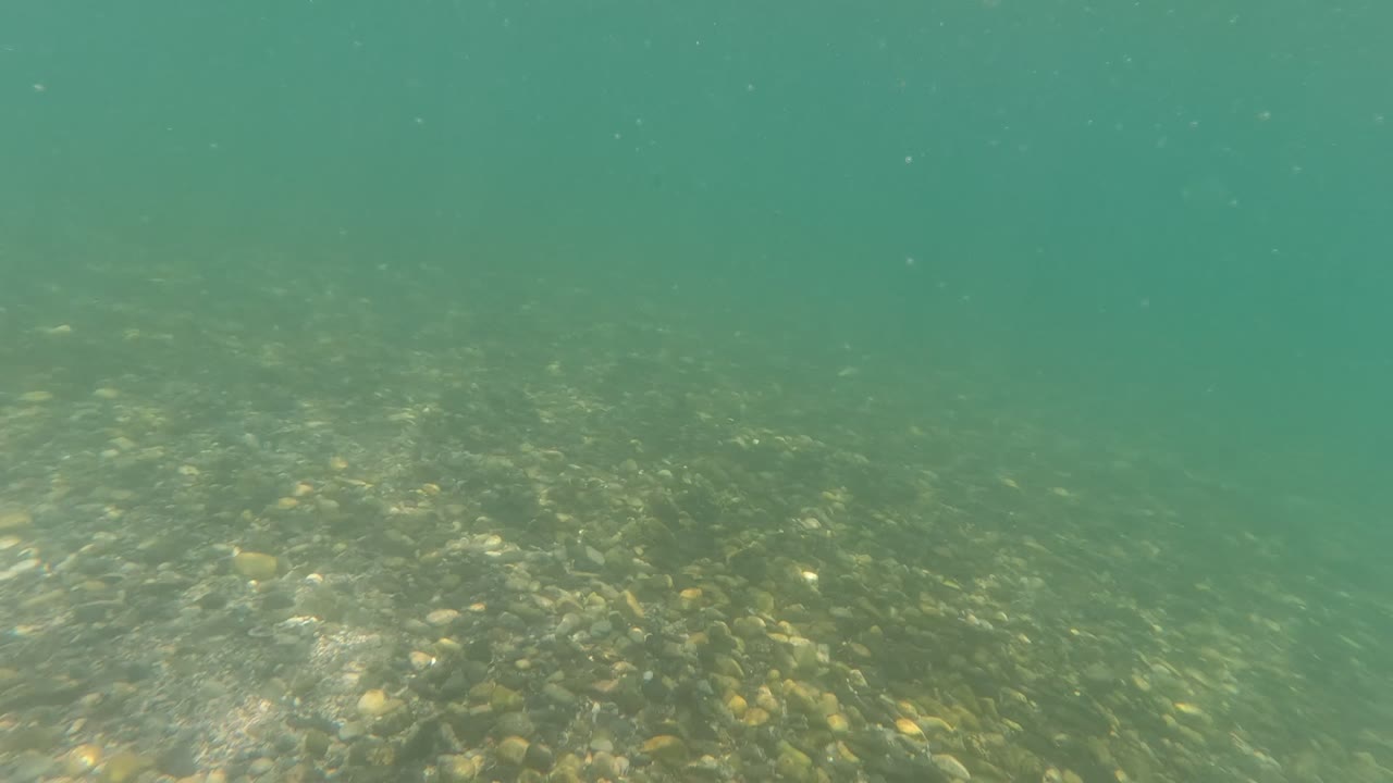 Underwater frame in Baja California, Mexico with smooth stones filling the lower view and a brighter rippled patch of water toward the right, with no visible people.