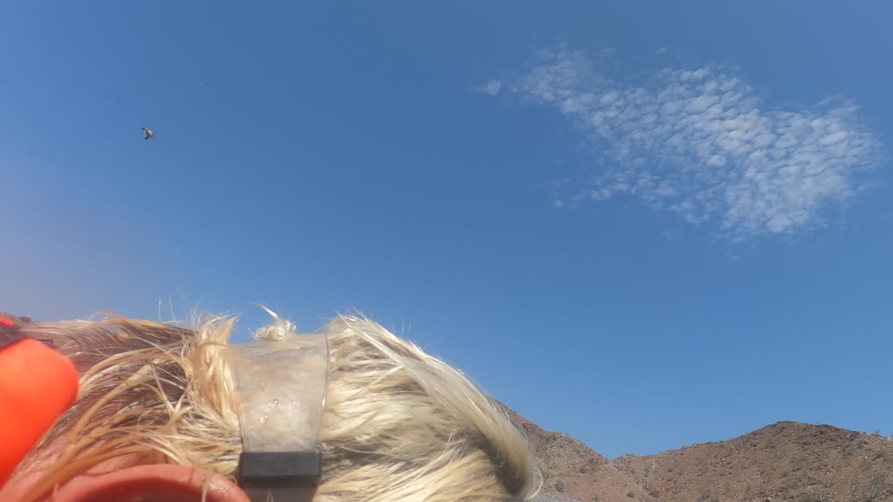The snorkel mask and blonde hair fill the lower frame in Baja California, Mexico, with orange life jacket fabric, blue sky, and rocky shoreline in the distance.