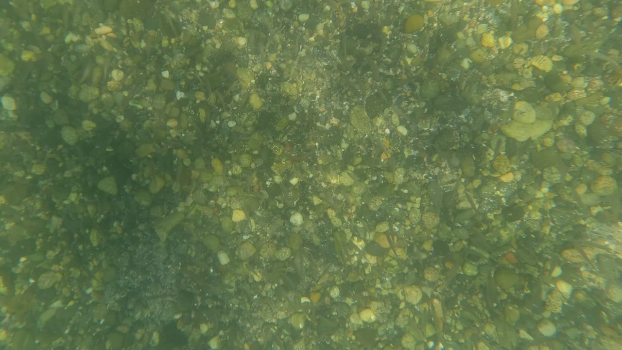 Underwater view in Baja California, Mexico showing a pebble-covered seabed through green clear water with sunlight filtering across the upper right of the frame and no visible people.