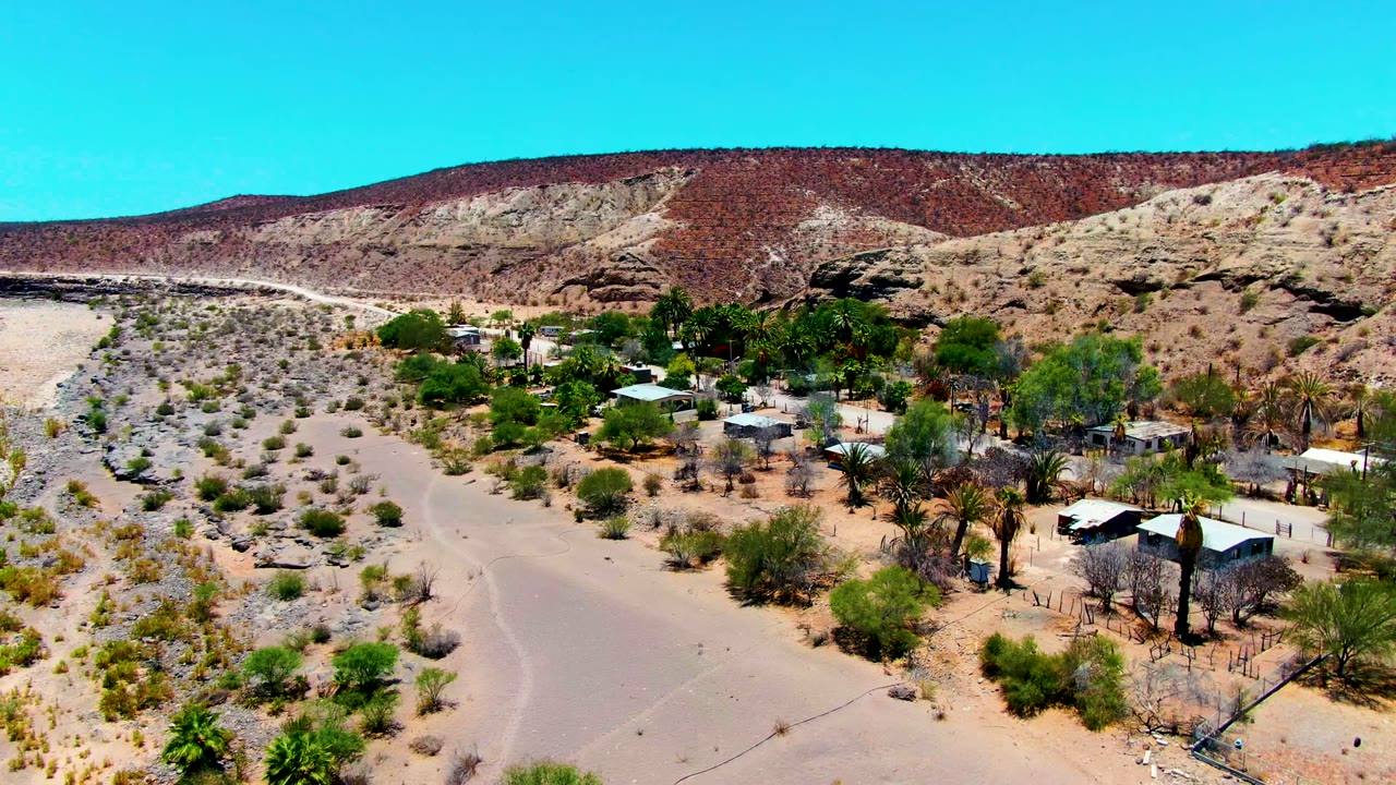 San Juanico aerial frame showing low structures among green trees and palms, a pale dirt road through sandy terrain, a rocky ridge beyond, clear blue sky, and no visible people.