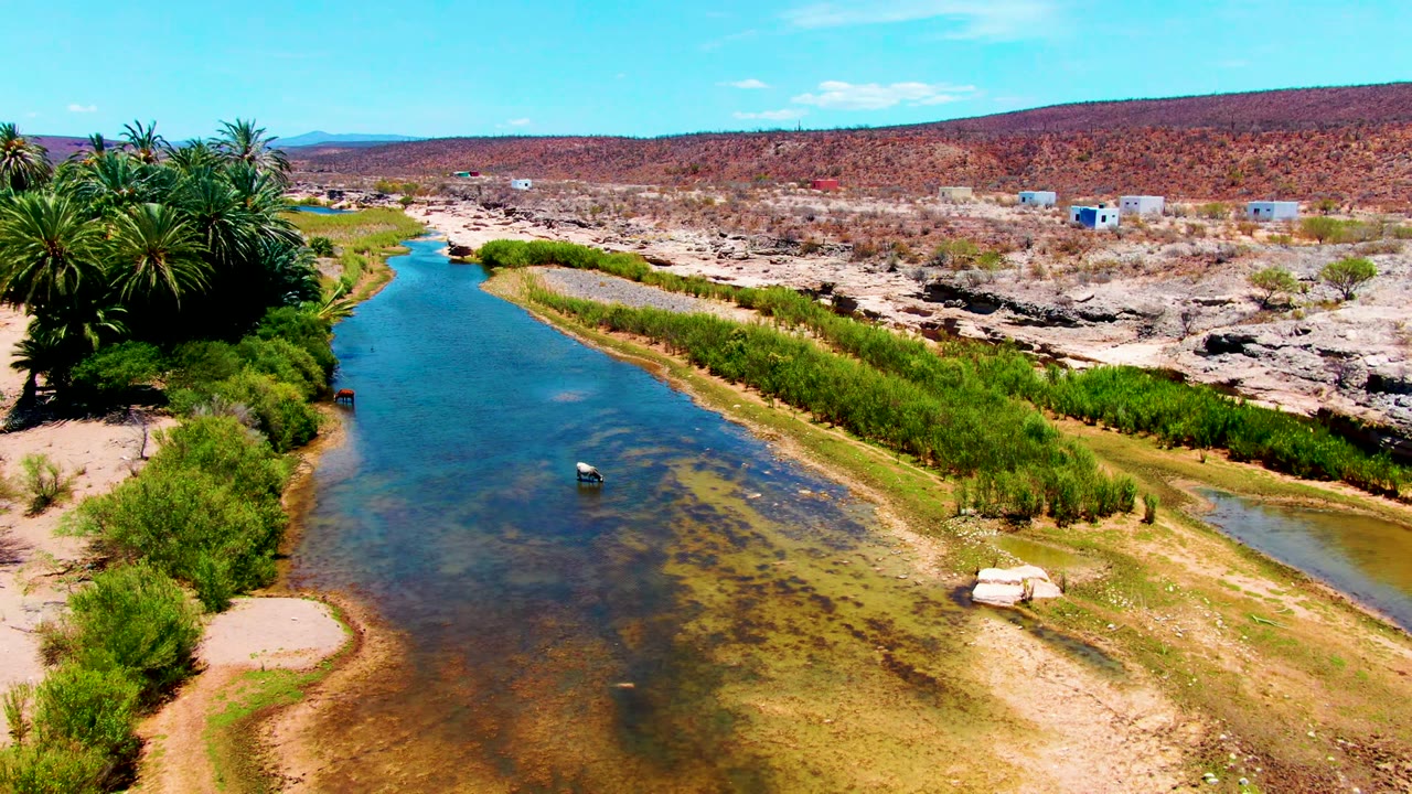 Aerial view in San Juanico, Baja California Sur, showing a blue river with palms on the left bank, reeds on the right bank, rocky dry ground beyond, and no visible people.