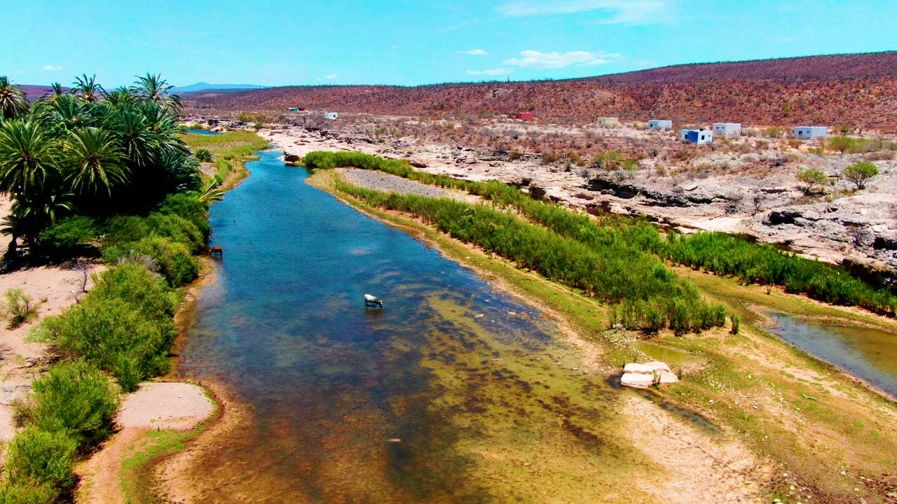 Aerial river view with green banks, palms, shallow water, and small buildings in the distance.
