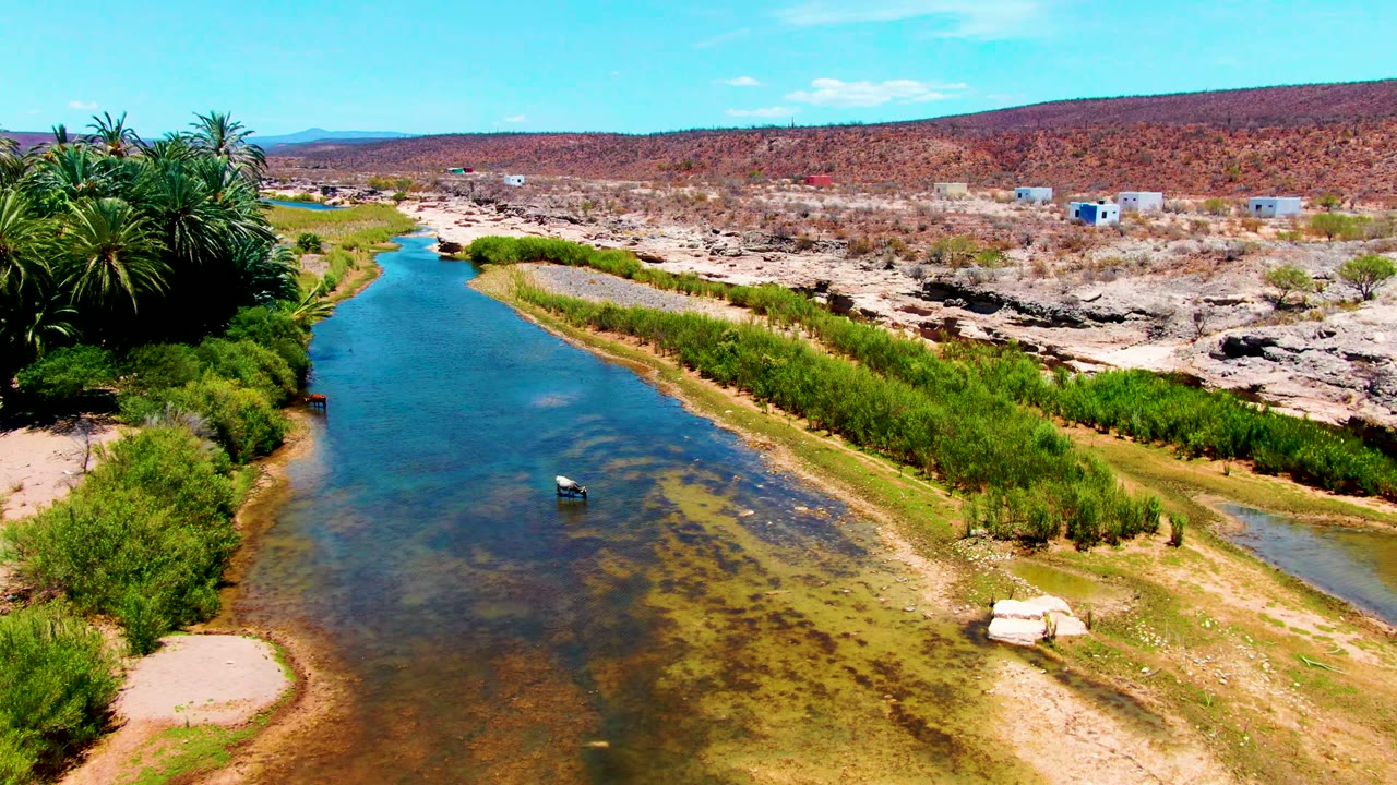 Aerial view in San Juanico, Baja California Sur, showing a river bend bordered by palms and reeds, rocky pale banks, dry hills, a small object in the water, and no visible people.