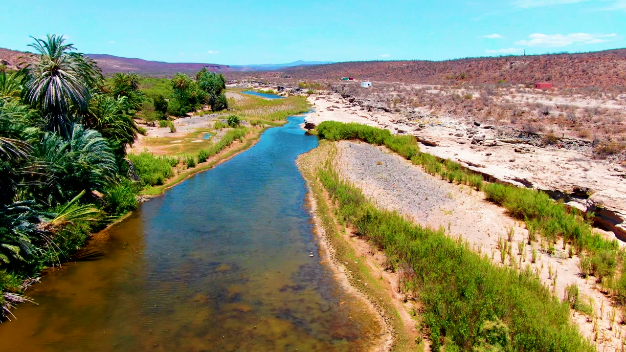 Aerial view over San Juanico, Baja California Sur, where palms frame the river edge, a gravel strip divides the water from scrub, and no visible people appear in the shot.