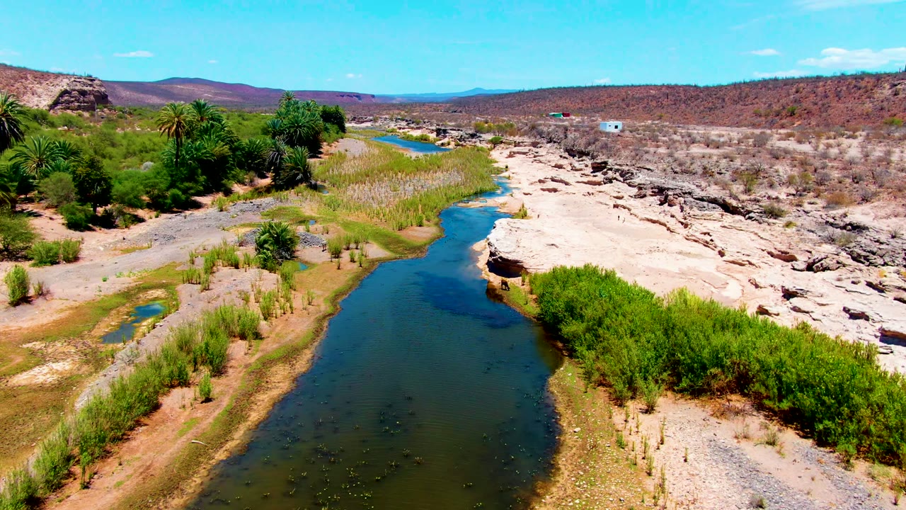 Aerial frame over a dark river channel in San Juanico, Baja California Sur, with pale rock shelves on the right, green reeds on the banks, palms to the left, distant hills, and no visible people.