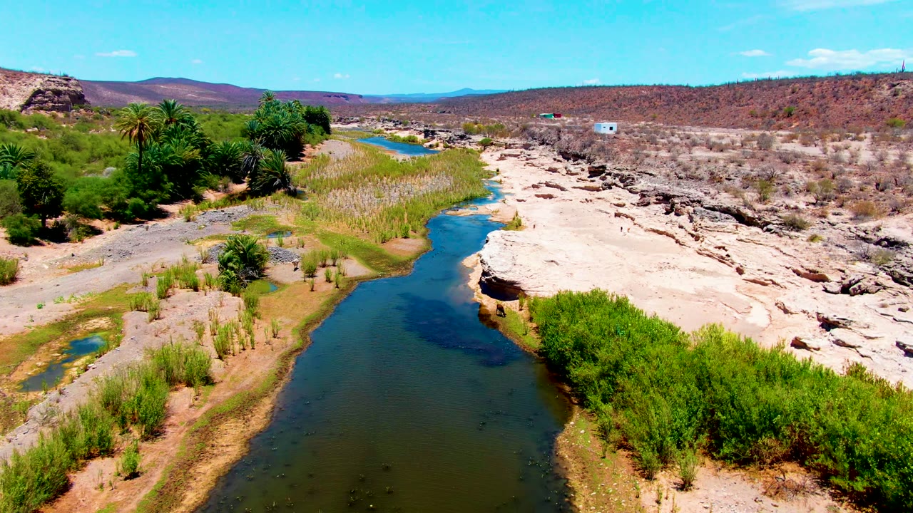River bend bordered by reeds and pale rock in an arid landscape
