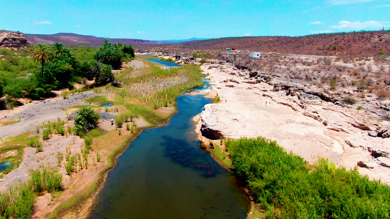 Aerial frame from San Juanico, Baja California Sur with the river centered between tan banks, reed beds, palms, a broad pale rock shelf, reddish-brown hills, and no visible people.